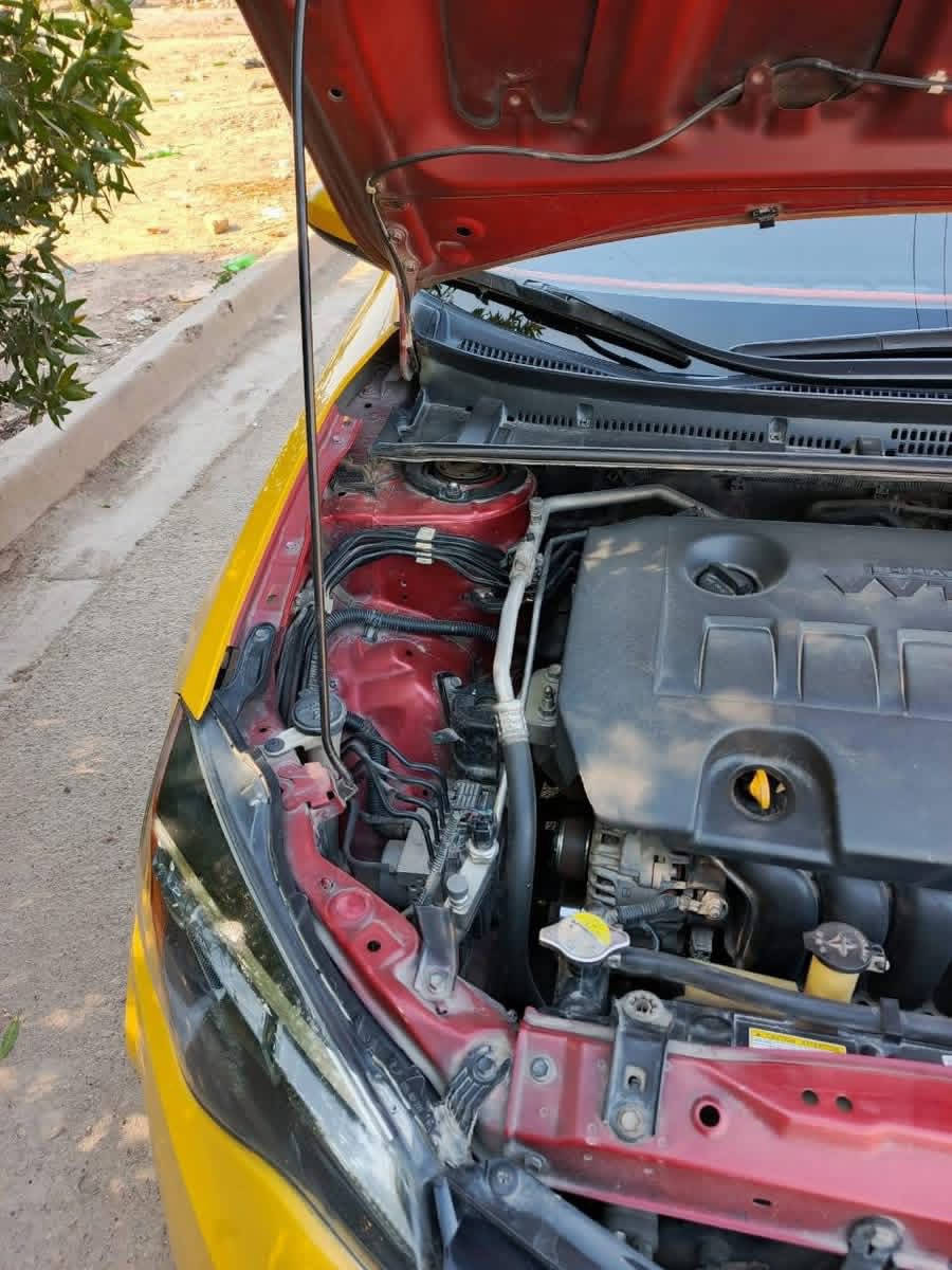 السلام عليكم اخوان مكلف باالنشر
كورلا 2019 امريكي رقم بغداد
حادثها جاملغ امامي وبنيد مبدل بدون دواخل وجاملغ الخلفي بدون دواخل 
سياره جاهزه وحداديه 
تبريد تدفئه 
مواصفات نص فوول 
حساس امامي خلفي 
محرك 1800
تحكم ستيرن جهتين
تخم تاير خط ابيض جديد 
ماشيه 250 الف كم قابل للزيادة 
السعر 137وبيها مجال 
مكان السياره بغداد الدوره شارع ٦٠ 
للاستفسار الاتصال على هذا الرقم 

***********
