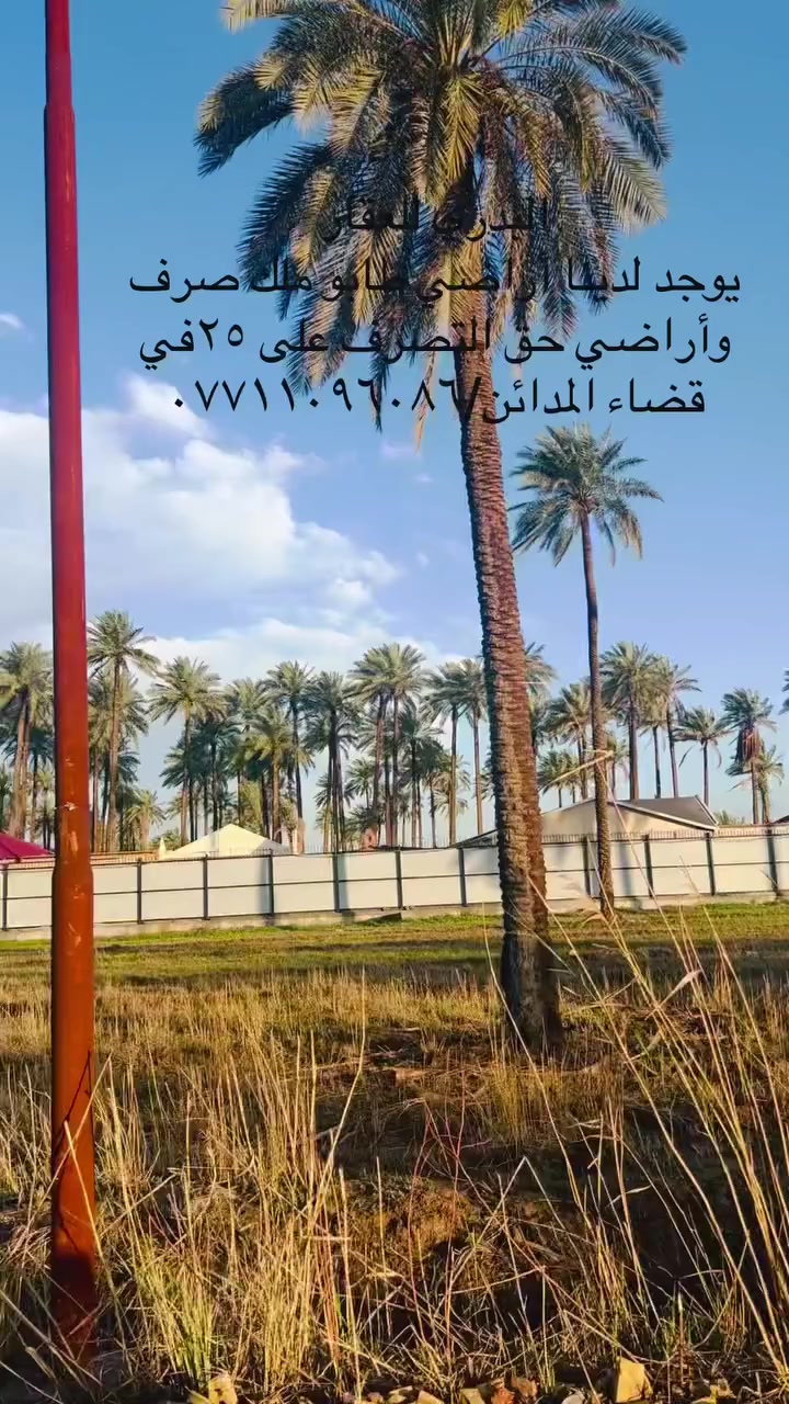 السلام عليكم من رخصة الادمن
يوجد لدى مكتب البدري للعقار في قضاء المدائن 
جميع أراضي  الزراعية /طابو زراعي/ حق التصرف ٢٥
و١٧/و٣٥/   ويوجد مزارع دوانم/***********
