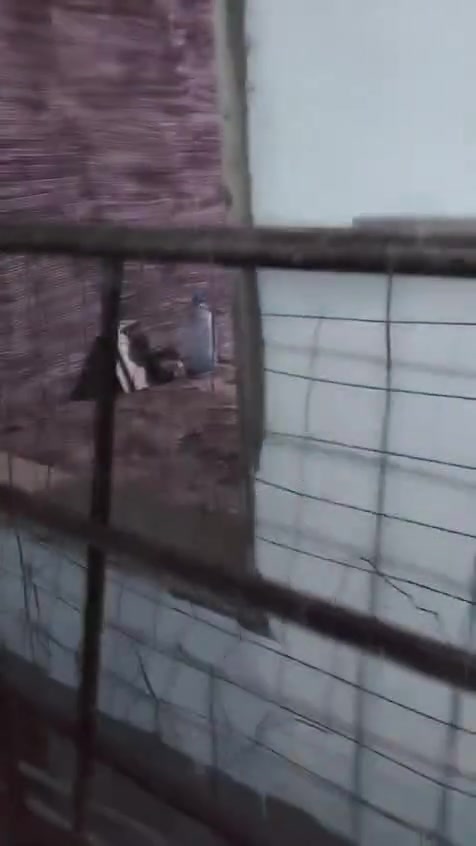 غراض للبيع شراي يجي خاص


**إذا كنت صاحب هذا الإعلان وتريد حذفه لأي سبب، رجاءا أرسل رسالة إلى الدعم الفني**