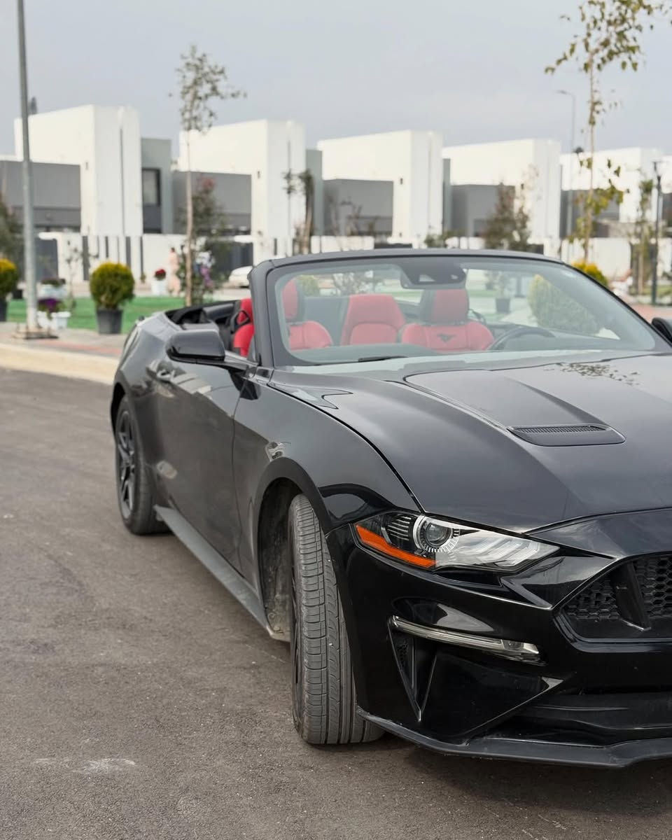 موستنك ٢٠٢٢
ايكو بوست 

بريميوم

٨٨،٠٠٠ كيلو ماشي

دشبول سبع الوان

كشن حار و بارد

شاشه كبير

شغال

بصمه

رادار امامي و جانبي

حساسات و كامره خلفي

ضرر: موضح بالسونار وزاد عليه باب السايق

ايرباك فقط ستيرن و راجع سستم

اكسل كهربائيات مكينه كير كله بشرط

سعر :١٦٥ بيها مجال 

بغداد حي الجامعه  

***********
