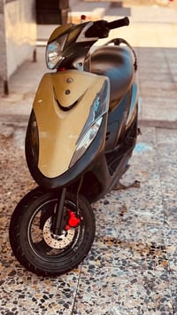 ماكس عدله • بلاديه • مكينه خرس