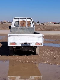 كيه فاو • شاصي شرط • محرك تبخير