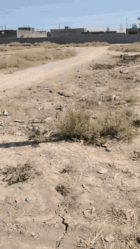 سلام عليكم قطعه ارض للبيع المساحه 300متر العنوان بغداد حي البتول شارع مترست الخيرات زراعي متوفر ماي وكهرباء و انترنيت الاستفسار ***********
