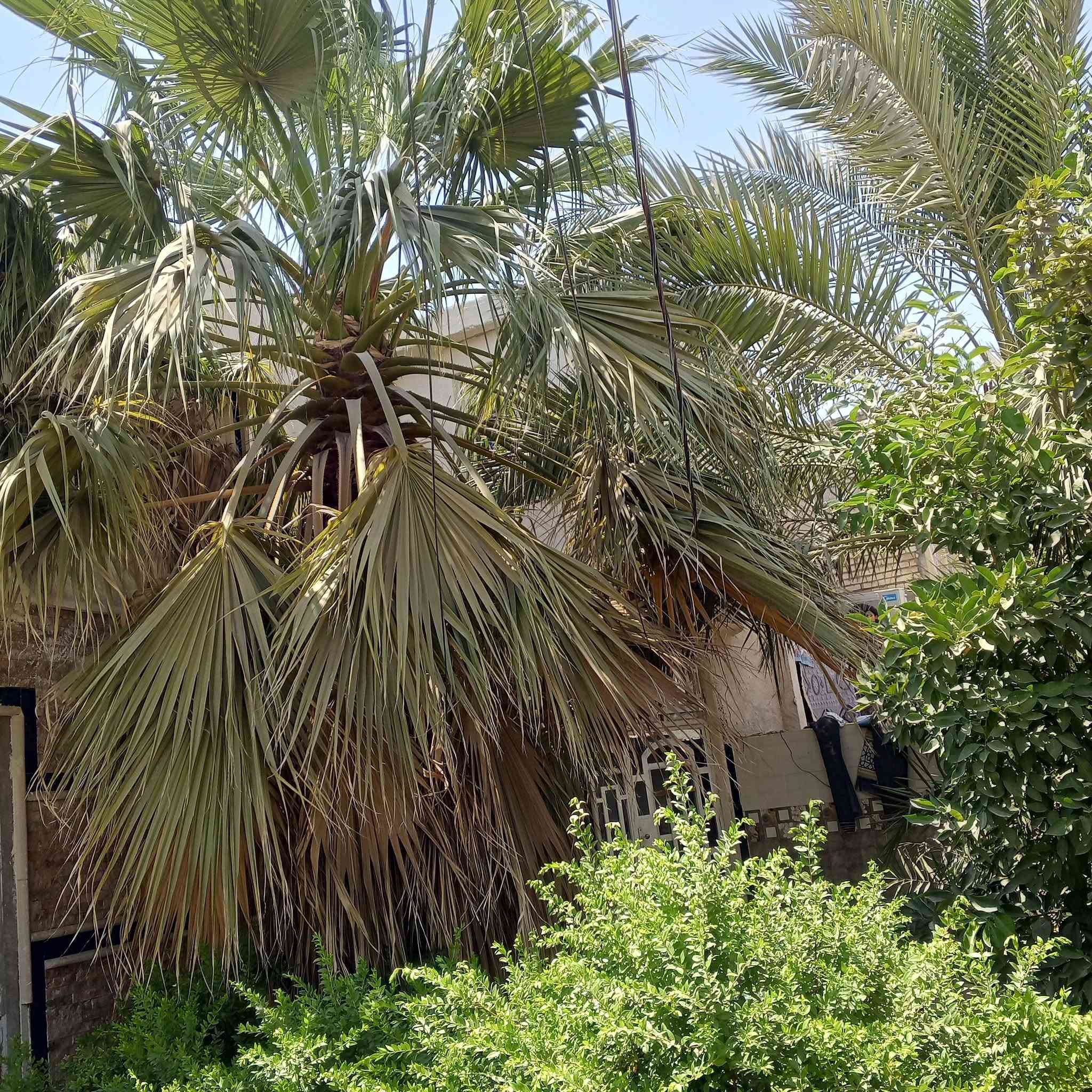 بيت للبيع مع مشتملات 2كل بيت معزول بحده ركن الشعب حي البساتين مساحته 430متر لاستفسار ***********
