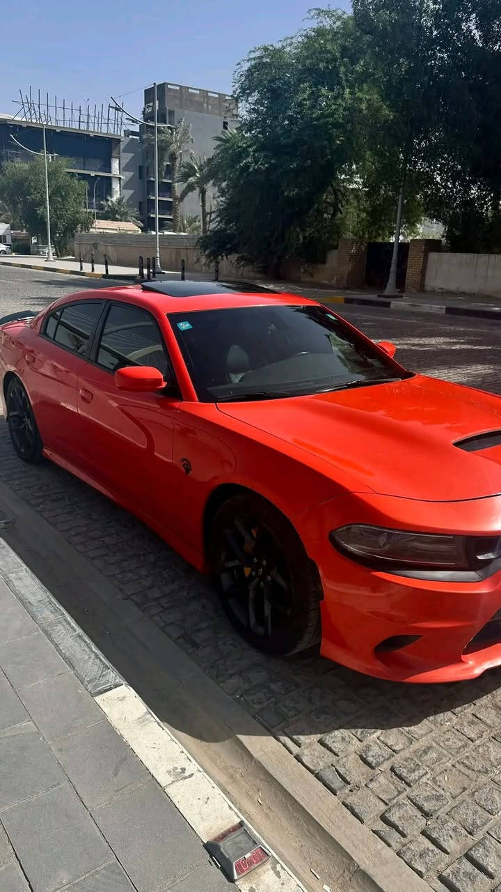 دووج ••• جارجر    ⏬
موديل •ــ•2020  🟠🟠

••••••••••••••••لون برتقالي مميز🍊

فتحت سقف

نقطه عمياء

شاشه كبيره

كامره  دواره

كشنات حضن جلد تبريد تدفئه

كشنات خزن

حداديه جديه 

ويل 20انج وتخم تاير

تشغيل عن بعد 

لايتات زنون

محدثه SRT

جديدة جدا 

رقم بغداد انكليزي باسمي تحويل مباشر 

وارد امريكي 

قطعة وحده صبغ جاملخ لاأمامي فقط

بدون ارباك سليم

للاستفسار اكثر ☑️☑️💢💢

 بييع او مراوس ب أرتي لون مميز☑️☑️

سعر250وبيهه مجال

الاتصال على الأرقام ☎️☎️***********
