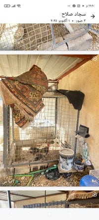 للبيع إرتفاع متر ونص العرض متر ونص سعر 75 الاستفسار 07702963495