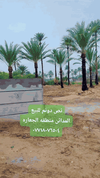 المدائن الجعارة • ١٢٥٠م • واجهة ٢٢م