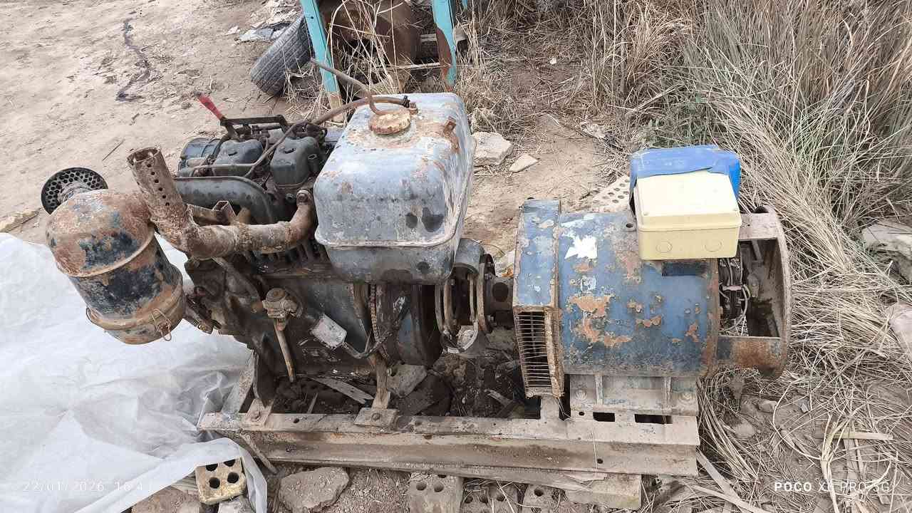 مولد دويز عربي بستمين للبيع ***********
