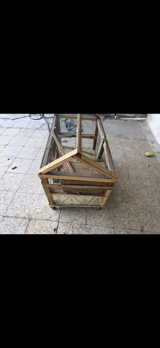 قفص مال كوكتيل جبير وجديد سعر 20 الف بي مجال ***********
