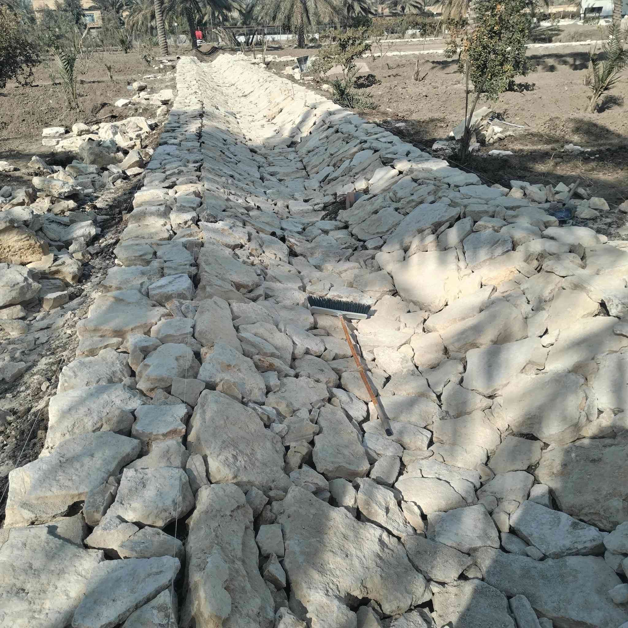 ***********+++***********
