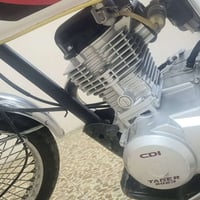 تايكر • شرط • 2023