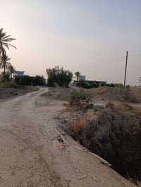 بابل جبلة • ٢٠ دونم • ٢ بيوت