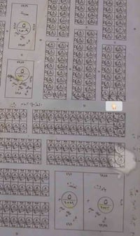 بل النجمي • ٣٠٣م • طابو صرف