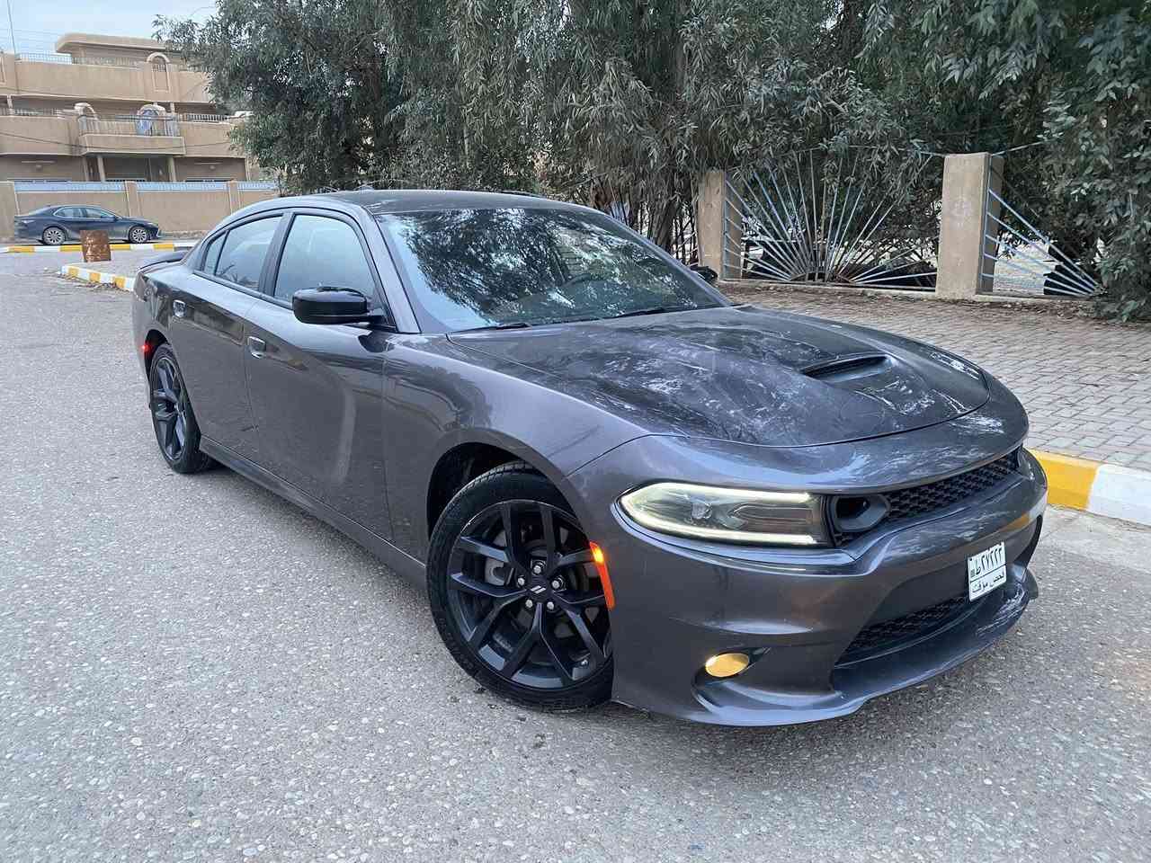 السلام عليكم
للبيع جارجر  جيتي  2023  

وارد امريكي ضرر وصبغ 3 قطع أماميه 

وبيه تبديل قطعتين اصلي شركه  

يعني السيارة بيه صبغ 3 قطع 

رقم الشاصي مرفق مع الصور 

مواصفات جيتي 

شاشه كبيره 

بصمه   كشن كهرباء

محرك 6 حجم 2600 

السيارة حره بدون رقم 

السيارة حلوه وجديدة  ماشيه 43 كم 

السعر  194  وبيه مجال الشراي يخابر 

***********

مكان السيارة صلاح الدين سامراء
