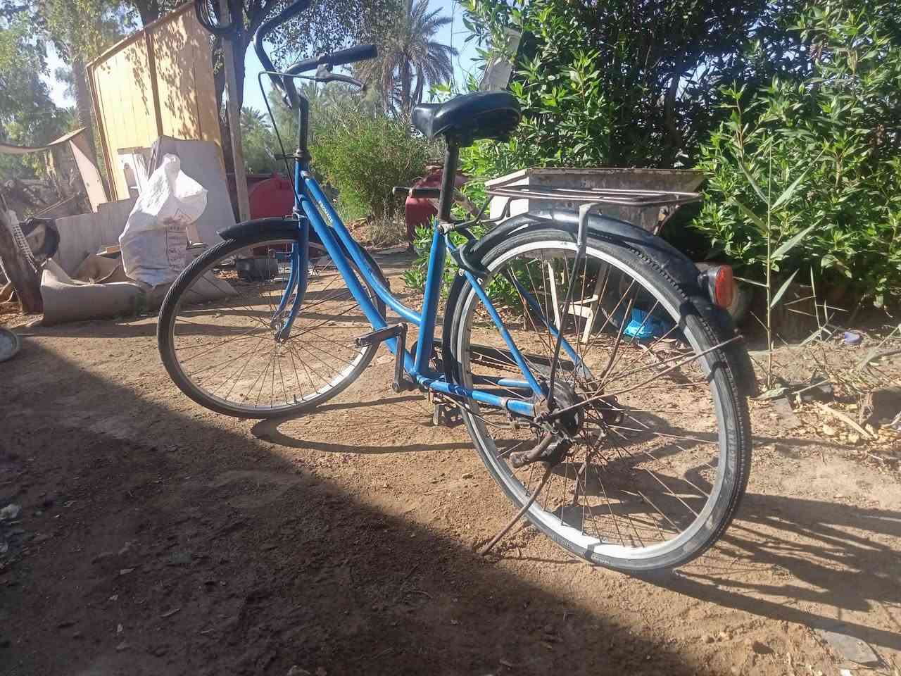 حجم26سعر 40ديوانيه دغاره


**إذا كنت صاحب هذا الإعلان وتريد حذفه لأي سبب، رجاءا أرسل رسالة إلى الدعم الفني**