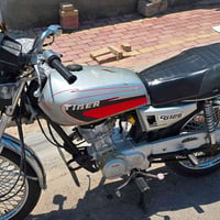 تايجر • ١٢٥ • واتساب