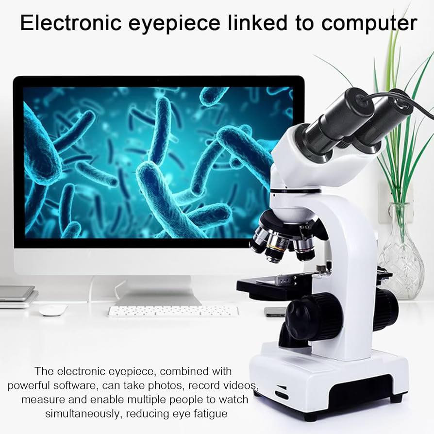 مجهر فول الفول ويا طن ملحقات جديد اول تم 80 وبلعافية قفل


**إذا كنت صاحب هذا الإعلان وتريد حذفه لأي سبب، رجاءا أرسل رسالة إلى الدعم الفني**