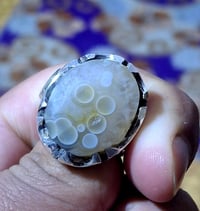 محبس اصلي • حجر سليماني • البصرة ابو الخصيب