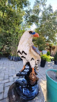 نباتات داخلية وخارجية • ورد جهنمي متسلق • شارع الغطاس