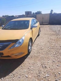 سوناته • ٢٠١٤ • وارد امريكي