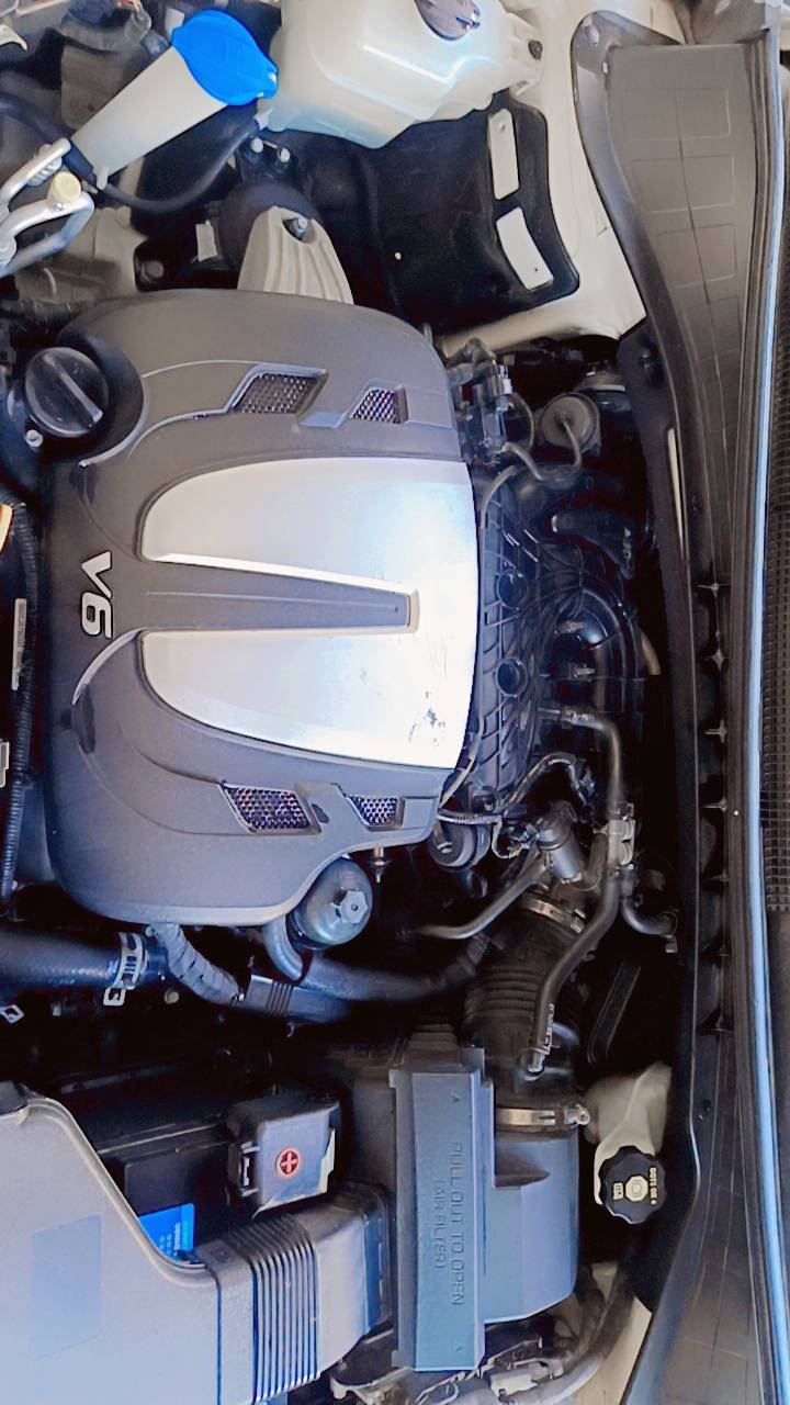 السلام عليكم
سورنتو 2019 خليجي ✅✅ 
مكفوله كفاله عامه من لشخط ولرصعه ✅ 
سياره بيها جاملغ خلفي ونص من الباب الخلفية جهة الصدر عدا مكفول من كلشي سبير ما نازل كراسه باب البيت🔥 

فول مواصفات 1/1 

1-بانوراما 
2-شاشه كبيره 
3-كشنات كهربائي 
4-صندوق كهربائي 
5-سبعه راكب 
6-ثلاث قطع تبريد 
7-عدسه كاميرا 1 خلفيه 
٨- حساسات امامي خلفي 
٩- كشنات تبرد تدفئة
11-مكينه 3600 
12-سايد بريك ( بصمه) 
13-لد ضوئي 
14-تحكمات ستيرن _درايف مود_سمارت مود_سبورت مود
15-شحن ذاتي 
16-منفذ شحن لاسلكي 3 

وبعد بيها مواصفات هواي 🔥 
سياره جديده جداً دينار ميحتاج تصرف عليها  
رقم بغداد
السعر ٢٤٥ ورقه وبيها مجال🔥 
السياره بأسمي شخصياً 
مكان السياره  كربلاء طويريج 
بيه سونار قبل اسبوع سويته من المندلاوي
للأستفسار ***********📞📞
