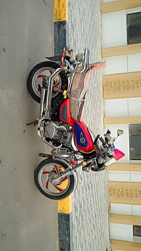 تايموته • موديل ٢٠٢١ • أوراق أصلية