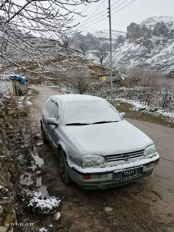 لەسەر ئیزنی ئەدمینی ❤❤❤
گۆڵف مودیل 1992ئاڕم پلاستیک هەولێر سەنەویشی لەگەڵە ئاڕم و ئەولیات بەشەرت
مەکینە هەژدەی مرغوب  گێر عادی بەشەرتی گێڕو مەکینە توند و تۆڵە  بێ مسروفە  بۆیاغی زۆر کەماهەیە بۆنیتی لەسەر کاڵبونەوەی پەمپکراوە بۆیاغی نیە یەک قەترە  خایسی نیە بنی زۆر خاوێنە لێدراوی نیە 
شوێنم ڕانیەیە 
***********
*********** رانية, السليمانية
