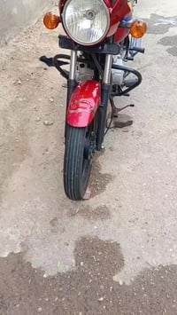 بوكسر • نثيه • 2022