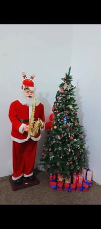 شجرة زينة • مترين • داموك طشاش