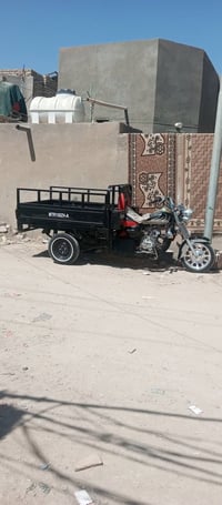 ستوته • موديل 22 • كفالة عامة