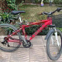 بايسكل اصلي • جاهز • مكانه الدورة