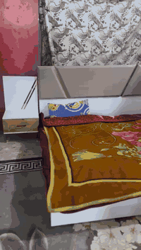 ستخدام شهر المكان العبيدي 550


**إذا كنت صاحب هذا الإعلان وتريد حذفه لأي سبب، رجاءا أرسل رسالة إلى الدعم الفني**