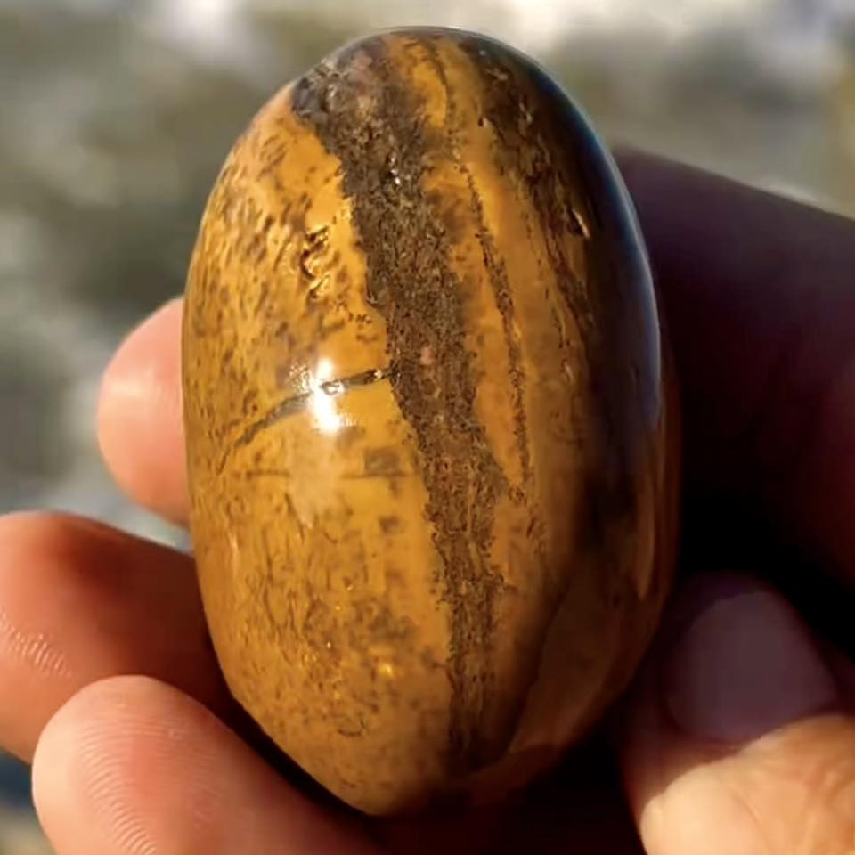Dendritic Yellow Jasper displays Liesegang banding with concentric yellow and brown rings in a silica matrix. A dark band marks secondary mineral infiltration, with iron or manganese oxide dendrites branching through the stone.
#omarthemoroccanrockhound
#omarthemoroccantraveller
#امودو_على_الدراجات
#dendriticjasper
#omarsstones
#omarsbeach


**إذا كنت صاحب هذا الإعلان وتريد حذفه لأي سبب، رجاءا أرسل رسالة إلى الدعم الفني**