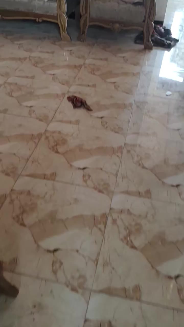 شقه للايجار قريب على مجمع الوثبه وسط بعقوبه نضيفه كلش ايجاره 250عدا دلاليته  الاستفسار ع رقم ***********
