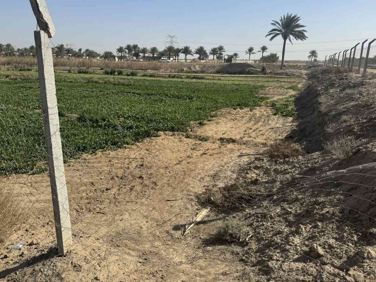 فرصة مميزة للراغبين بالاستثمار أو السكن 👌
تتوفر قطع أراضي بمساحات كبيرة وموقع ممتاز على طريق حلة – نجف، قريبة من الخدمات والطريق العام.

✔️ موقع استراتيجي

✔️ مناسبة للسكن أو المشاريع

✔️ أسعار مناسبة وقابلة للتفاوض

للاستفسار والمزيد من التفاصيل يرجى التواصل ***********
