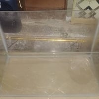 حوض سمك صغير • بسمك زينه • حي النصر بغداد