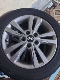 ويل كب ١٦ • إلنترا ١٧ • كربلاء