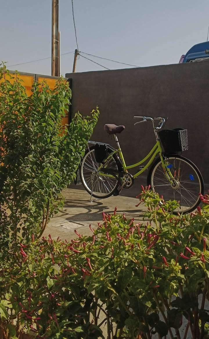 للبيع
***********
السعر 80وبي مجال قليل
