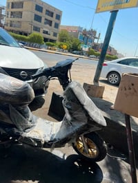 ماكس عدلة • محرك نشط • شرد الفحص