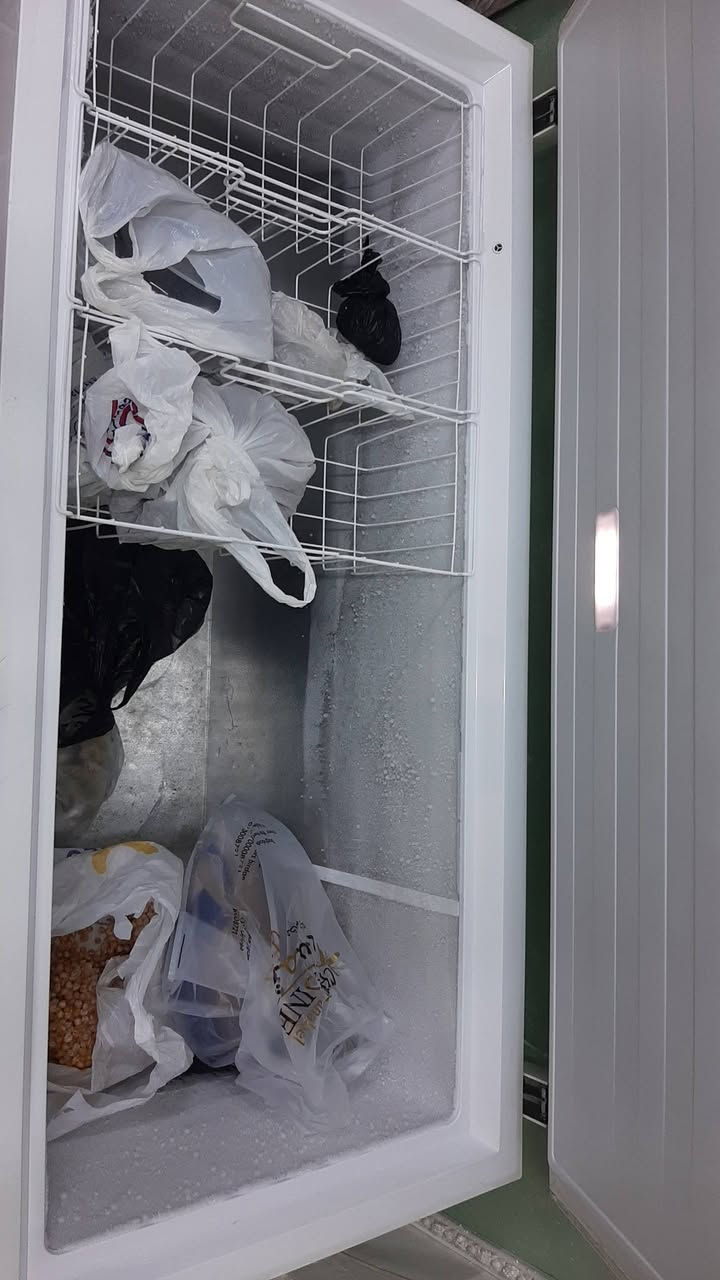 مجمده اوربي مشتغله موسم واحد حجم 24 اوربي بغاغ اقتصادي تصلح للمطاعم والاسواقات ولبيوت اذا مجمد بربع ساعا مرجوعه سبب البيع مكان ماعندي الله شاهد مشتريه ٨٥٠ وبيع ٣٥٠ بغداد الكراده رقم ***********
