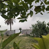 ورحمة الله وبركاتة ( ارض مساحته دونم)   🪟 معه دار مساحه 210متر   طابو ...