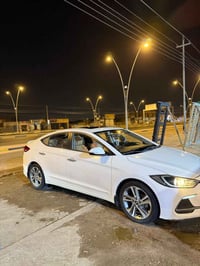 فول خليجي • كفالة • رقم اربيل