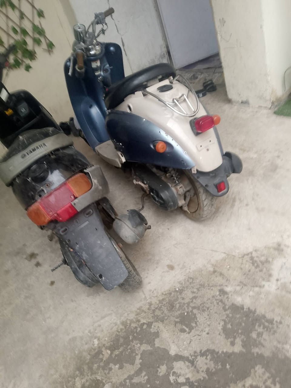 من رخصه ادمن السلام عليكم بطه وعبد الحليم للبيع عطلانات بس عطلهن بسيط ثنيناتهن ٢٥٠ مكاني بابل الاسكندريه كفراتهن كاملات ونضيفات مستعجل على بيعتهن


**إذا كنت صاحب هذا الإعلان وتريد حذفه لأي سبب، رجاءا أرسل رسالة إلى الدعم الفني**