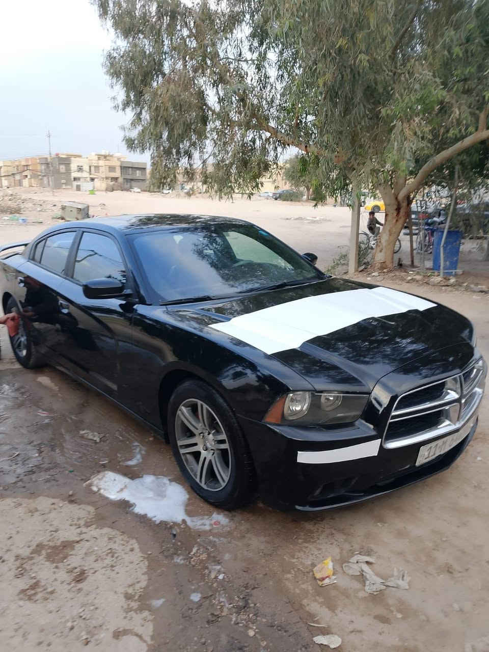 ياالله
جارجر موديل 2012 للبيع نقد فقط بدون مرواس ،سيارة مكينة 3600 گير ماوس شاشة كبيرة ،كامرة ،فتحة ،دمام خلفي استخدام شخصي سونارها موجود بالمنشور السيارة جاهزة ولا گلوب مشتغل بالدشبول رقم انكليزي بغداد بأسمي
السعر 150 نقد فقط 
مكان السيارة كربلاء الرقم *********** ابو ابراهيم
