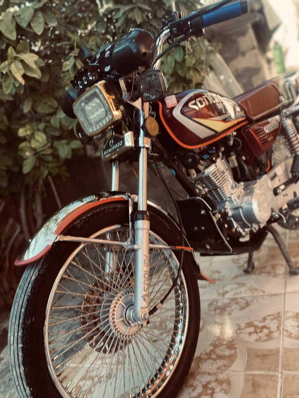 تايكر سونك 24مراوس. بسيفان من23وفوك


**إذا كنت صاحب هذا الإعلان وتريد حذفه لأي سبب، رجاءا أرسل رسالة إلى الدعم الفني**