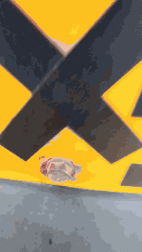 تكتك البيع ٢١ السعر ٧٥٠٠  بعقوبة التحرير ***********
