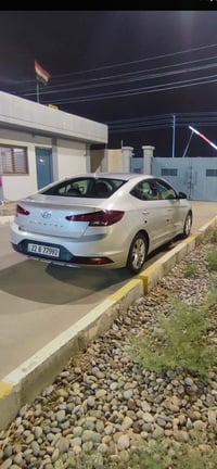 النترا • ٢٠١٩ • بلا صبغ