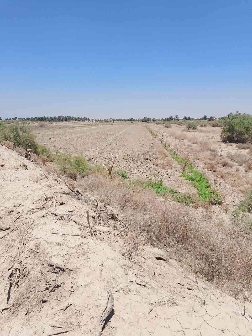 للبيع الكاع 3 دونم ونص واقع حال الصحيح 2 دونم النزال 175 العرض 45  عنوان طريق الدغاره نزلت نبي شعيب 
***********
