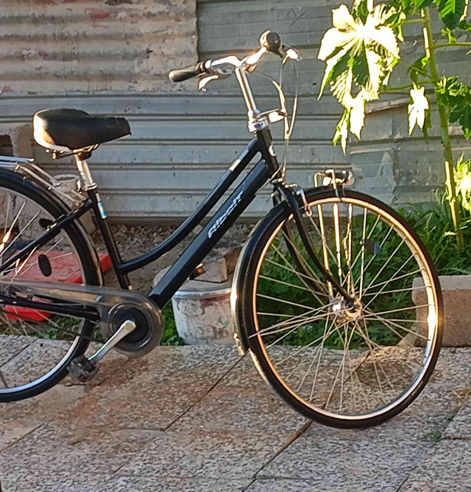 سلام عليكم
1) بايسكل ياباني بريج ستون 
2) حجم 27
3) قفل التاير الخلفي وستيرن
4) السعر 230 الف
5) لون الاسود المميز
6) العكرب 5 نمر مو 3 مثل باقي النسخ
ملاحظة/ الي ميعرف معنى بريج ستون معنى برو ماكس


**إذا كنت صاحب هذا الإعلان وتريد حذفه لأي سبب، رجاءا أرسل رسالة إلى الدعم الفني**