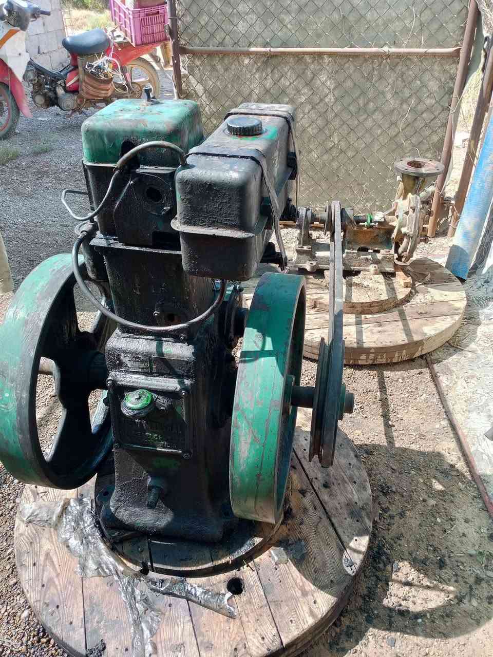 للبيع لستر مع الخنزيرة العنوان صلاح الدين فضاء بلد رقم الهاتف *********** السعر ٦٠٠ بي مجال
